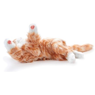 Terapikatt multisensorisk og interaktiv