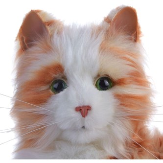 Terapikatt multisensorisk og interaktiv