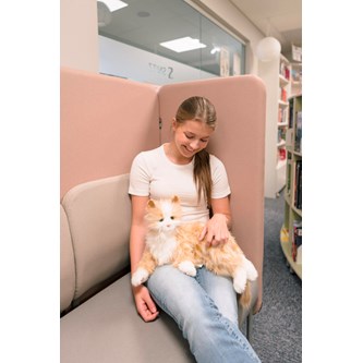Sansebamse interaktiv katt