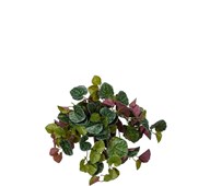 Kunstig senecio hengende 23 cm