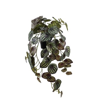 Kunstig peperomia hengende 45 cm