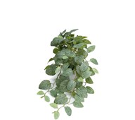 Kunstig fittonia hengende 50 cm