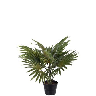 Kunstig palme 35 cm