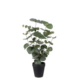 Kunstig eukalyptus 55 cm
