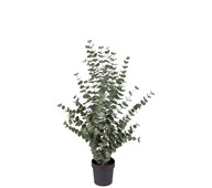 Kunstig eukalyptus 110 cm