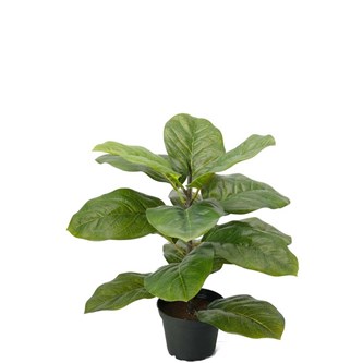 Kunstig fiolfiken 40 cm