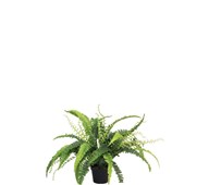 Kunstig bregne 41 cm