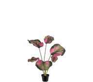 Kunstig calathea 55 cm