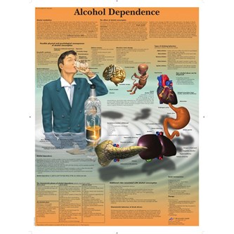 Plakat alkohol 50x67 cm