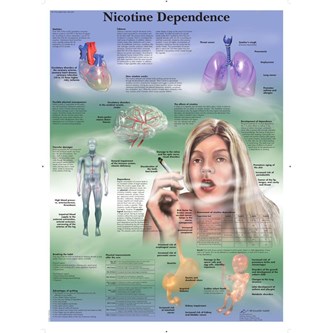 Plakat nikotin 50x67 cm