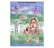 Plakat nikotin 50x67 cm