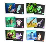 Memory dyr og skjeletter