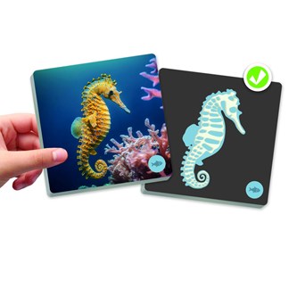 Memory dyr og skjeletter