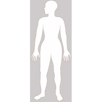 Kroppen 116 cm magnetisk