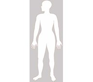 Kroppen 116 cm magnetisk