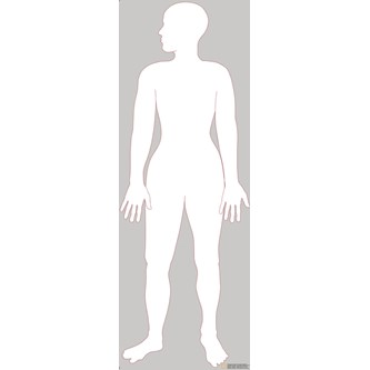 Kroppen 116 cm magnetisk