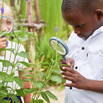 Forstørrelsesglass 4 stk