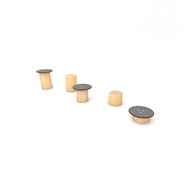 Robinia balansesubber RB1249