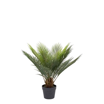Kunstig Cycas 60 cm