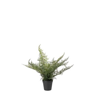 Kunstig Plumosus 30 cm