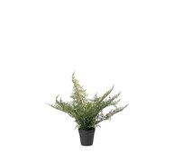 Kunstig Plumosus 30 cm