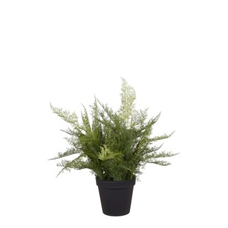 Kunstig Plumosus 65 cm