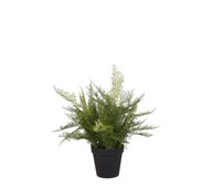 Kunstig Plumosus 65 cm