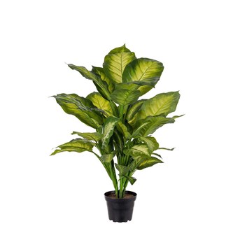 Kunstig Diffenbachia tropic B55 cm
