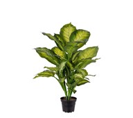 Kunstig Diffenbachia tropic B55 cm