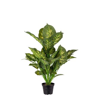 Kunstig Diffenbachia exotica 55 cm