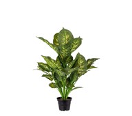 Kunstig Diffenbachia exotica 55 cm