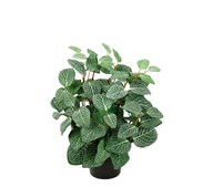 Kunstig Fittonia 34 cm
