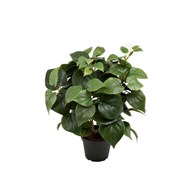Kunstig Philodendron 35 cm