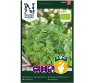 Oregano frø