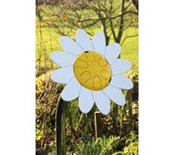 Blomstertromme prestekrage