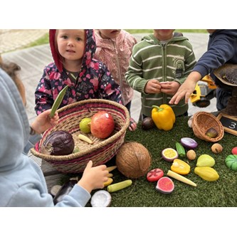 Lekemat frukt av stein 20 deler