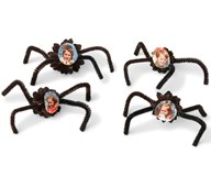 Kongle-edderkopp med bilde