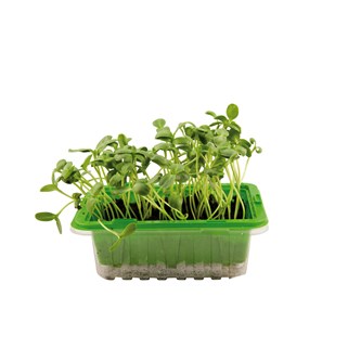 Microblader frømix 1