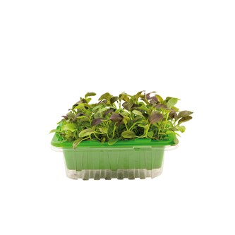 Microblader frømix 1