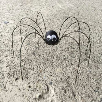 Langbeint edderkopp
