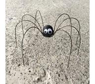 Langbeint edderkopp