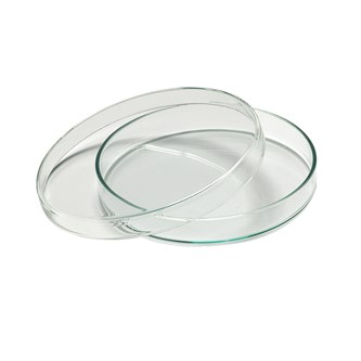 Petriskål Ø10 cm 30 stk