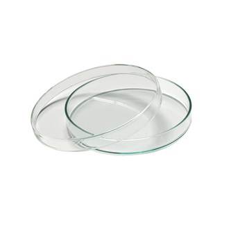 Petriskål Ø10 cm 30 stk
