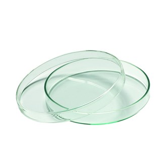 Petriskål Ø10 cm av glass
