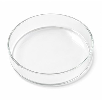 Petriskål Ø10 cm av glass