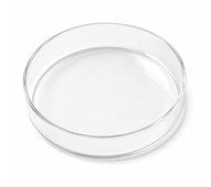 Petriskål Ø10 cm av glass