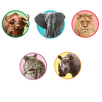 De fem store - veggklistremerker