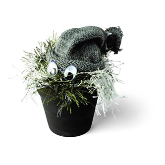 Blyge lurvenisser