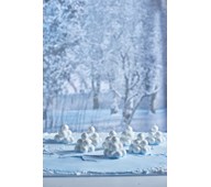 Snølykter