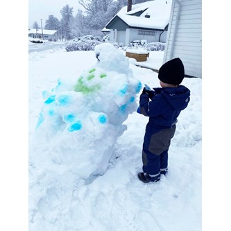 Fargerikt i snøen